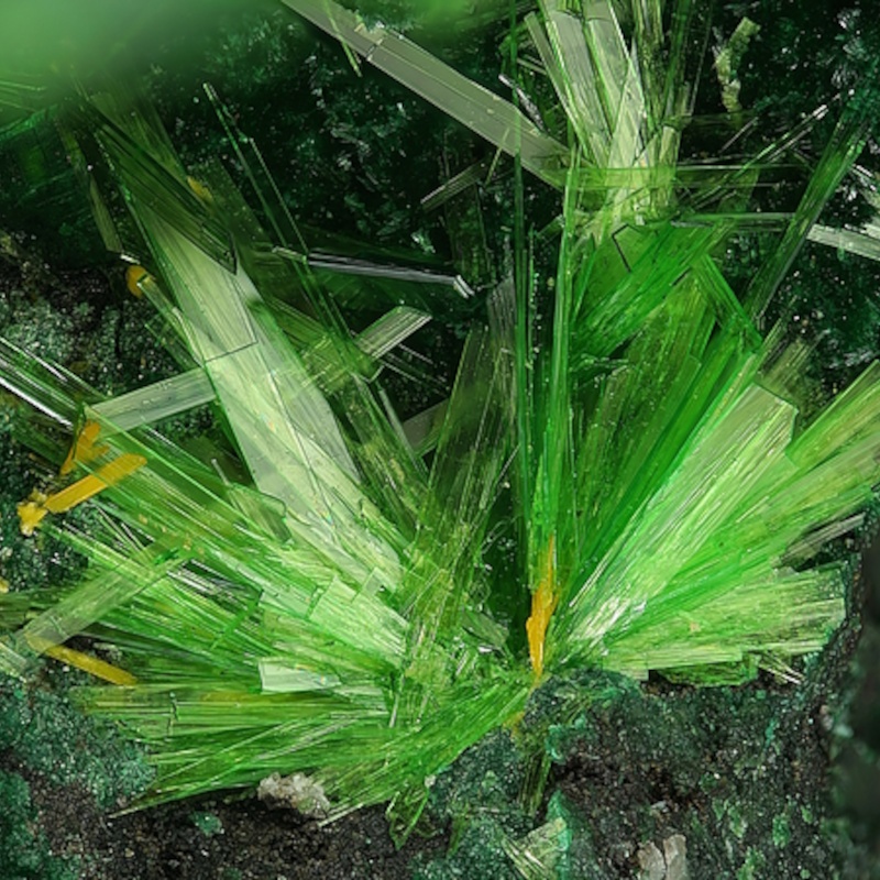 Cuprosklodowskite